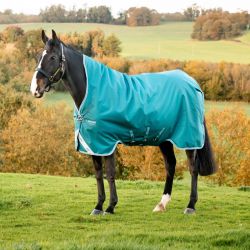 Couverture extérieur cheval 250g Amigo Bravo 12 Wug - Horseware