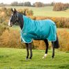 Couverture extérieur cheval 250g Amigo Bravo 12 Wug - Horseware