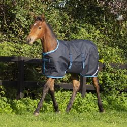 Couverture imperméable poulain 50g Foal Rug - Horseware