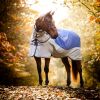 Couverture imperméable cheval Softshell Rambo Autumn Séries - Horseware