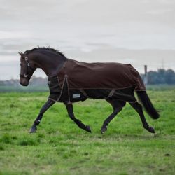 Couverture extérieur cheval 50 g Comfort - Waldhausen