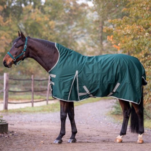Couverture extérieur cheval encolure haute doublure légère Economic System - Waldhausen Couverture extérieur cheval encolure haute 0g Economic - Waldhausen
