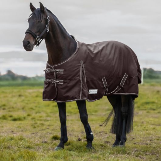 Couverture extérieur cheval 200g Economic - Waldhausen