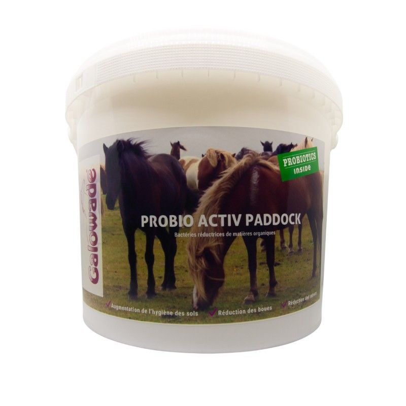 Probio Activ Paddock - Galowade 