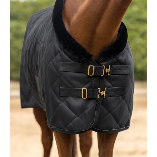 Couverture de transport cheval Exclusive 50g - Waldhausen