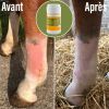 Natural'Drain drainage foie et reins cheval - Natural'Innov