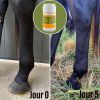 Natural'Drain drainage foie et reins cheval - Natural'Innov