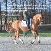 Natural'Drain drainage foie et reins cheval - Natural'Innov