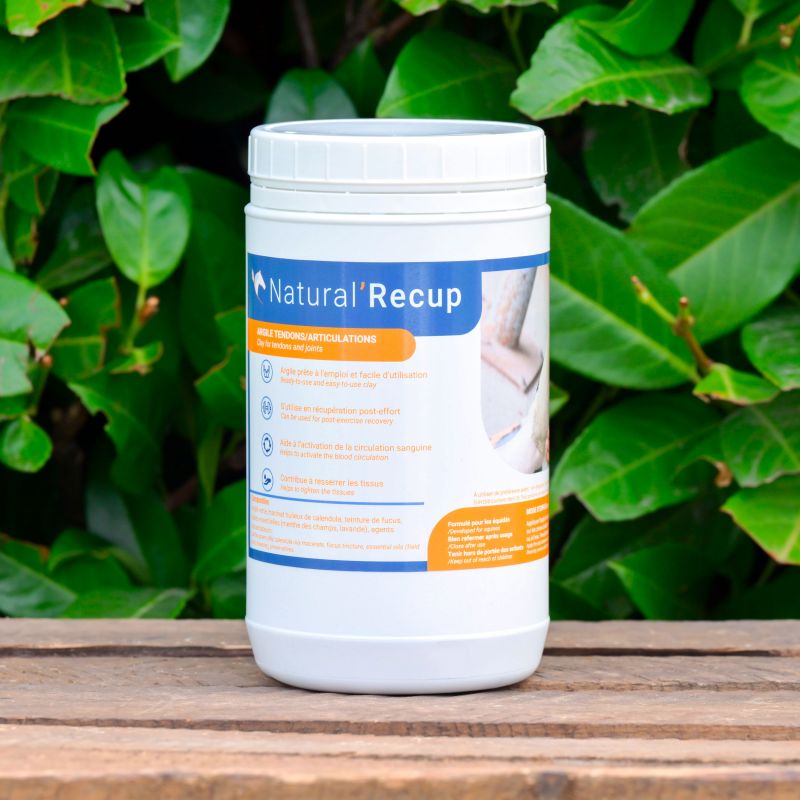 Natural'Recup argile pour tendons et articulations cheval - Natural'Innov