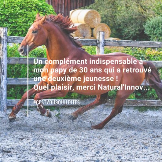 Natural'Immune immunité renforcée cheval - Natural'Innov