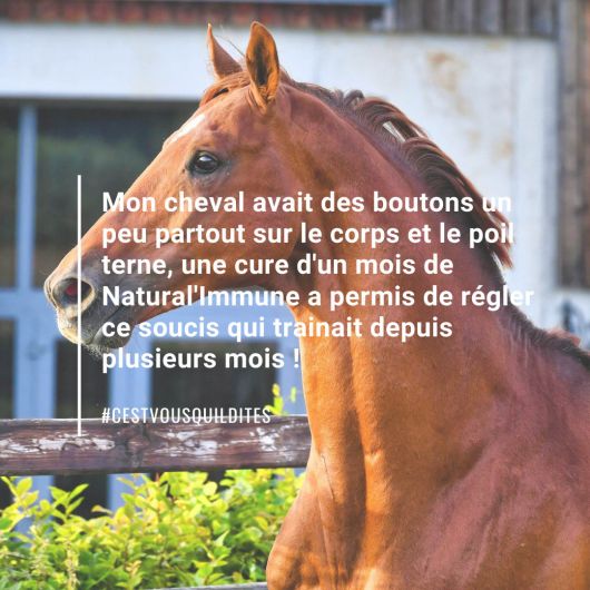 Natural'Immune immunité renforcée cheval - Natural'Innov