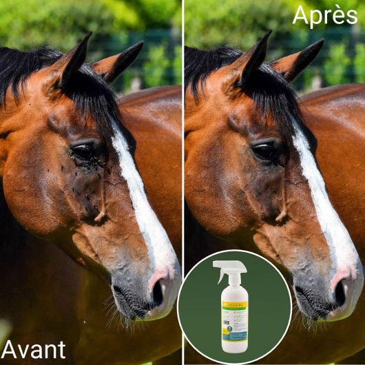 Natural'Fly spray anti-insecte cheval - Natural-Innov