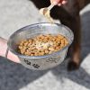 Natural'Digest Dog flore digestive équilibrée cheval - Natural'Innov
