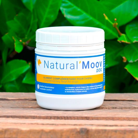 Natural'Moov Dog locomotion souple chien - Natural'Innov Natural'Moov Dog locomotion souple chien - Natural'Innov