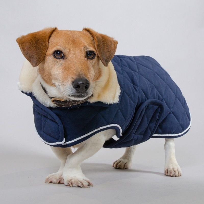 Couverture CHIEN IMPERMÉABLE 160G – LR SELLERIE