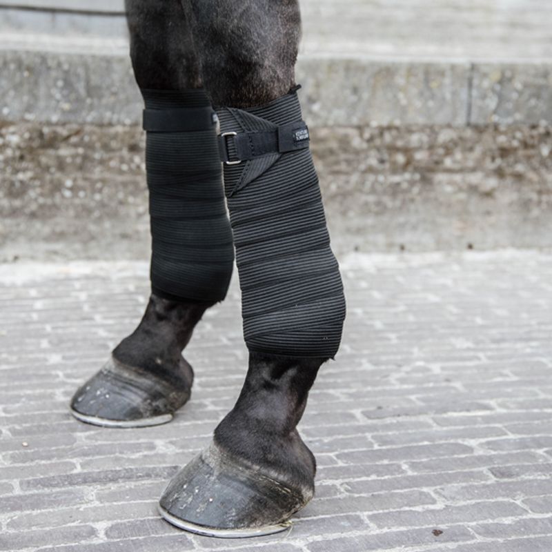 Bandes de travail cheval élastiques polaire x 2 - Kentucky