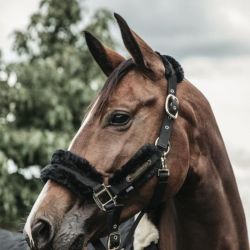 Licol cheval nylon matelassé mouton synthétique - Kentucky Horsewear