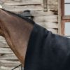 Chemise séchante cheval carré Heavy - Kentucky Horsewear