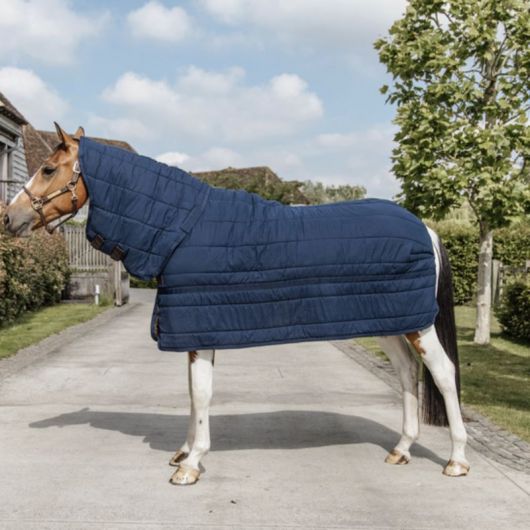 Sous-couverture cheval avec couvre-cou Skin Friendly 150g - Kentucky Horsewear Sous-couverture cheval avec couvre-cou Skin Friendly 150g - Kentucky Horsewear