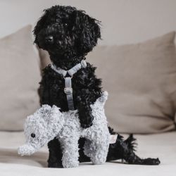 Jouet pour chien éléphant Elsa - Kentucky Dogwear