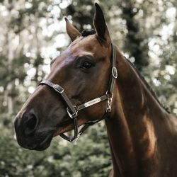 Licol en cuir cheval flexible Kentucky Horsewear 