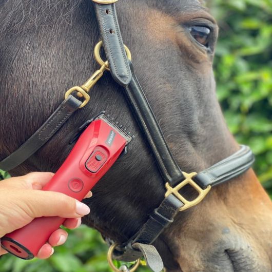 Tondeuse de finition cheval rechargeable Nova Trimmer - Liveryman 