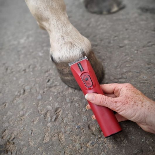 Tondeuse de finition cheval rechargeable Nova Trimmer - Liveryman 