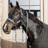 Licol cheval simili-cuir nylon tressé - Kentucky Horsewear