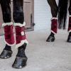 Guêtres cheval Brushing Velvet Contrast - Kentucky Horsewear