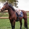 Tapis de selle cheval Saopsa - Harcour
