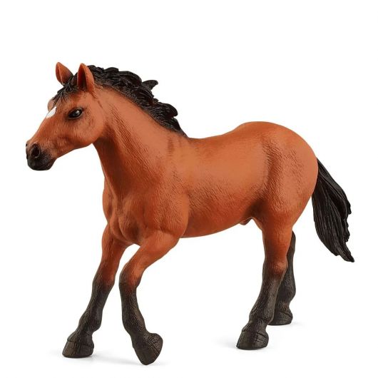 Figurine étalon Appaloosa - Schleich 