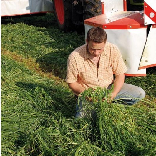 Foin de prairie cheval enrubanné Equifourrage - La Gée 