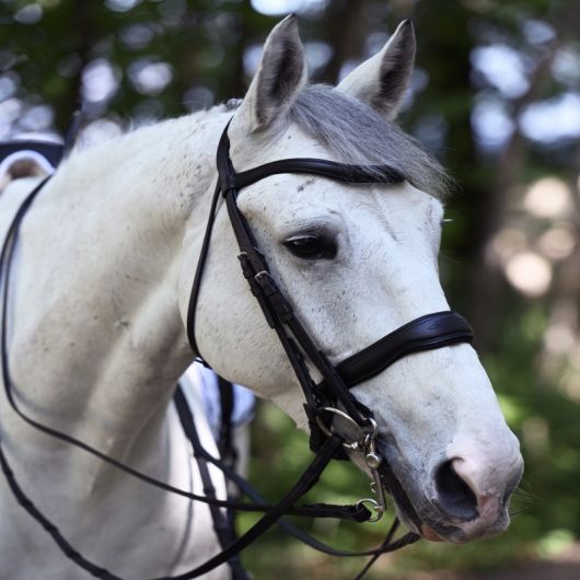 Bride de dressage muserolle pull back large Signature - Antarès