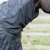 Chemise anti-mouche cheval imperméable combo Classic - Kentucky Horsewear 