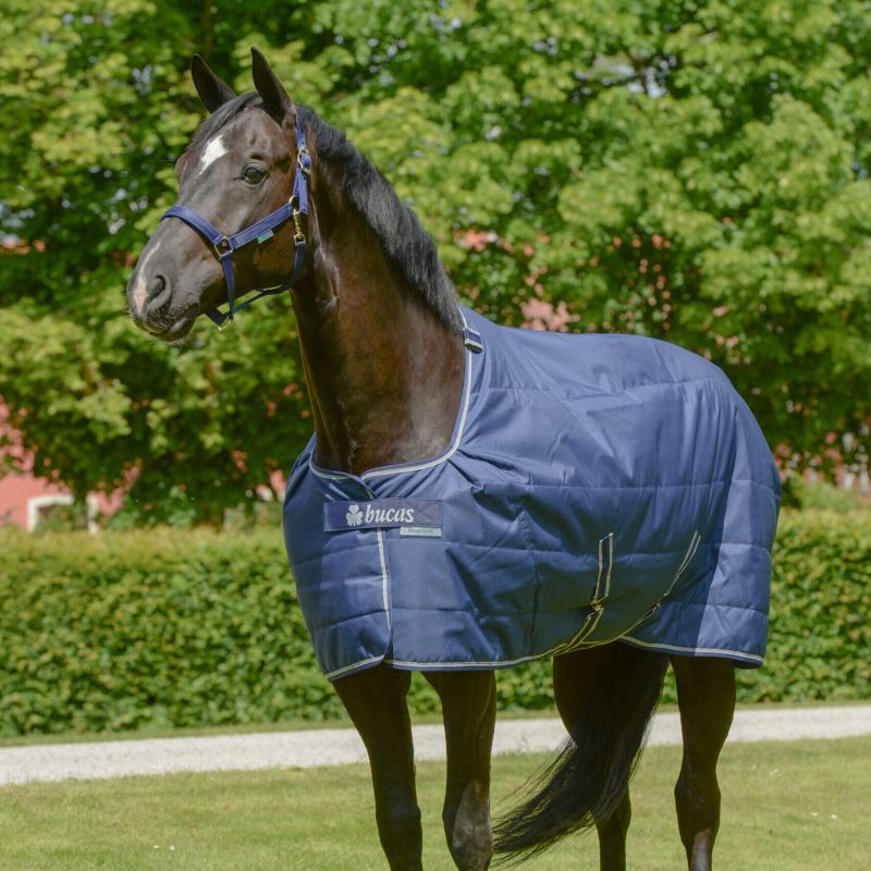 Sous couverture cheval Quilt Stay-Dry - Bucas