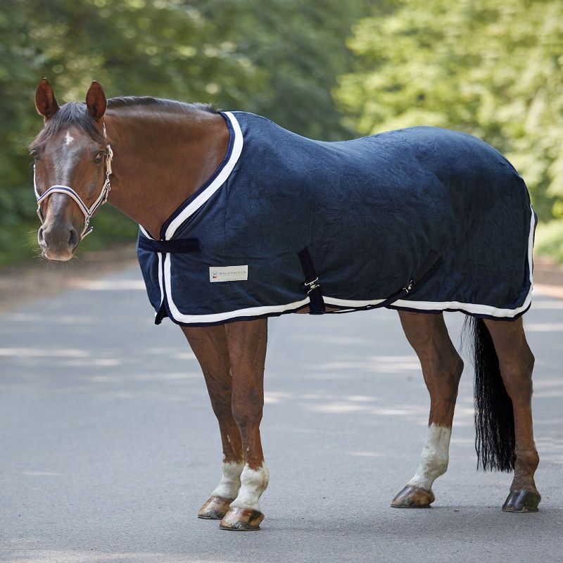 Chemise polaire cheval Esperia Two - Waldhausen