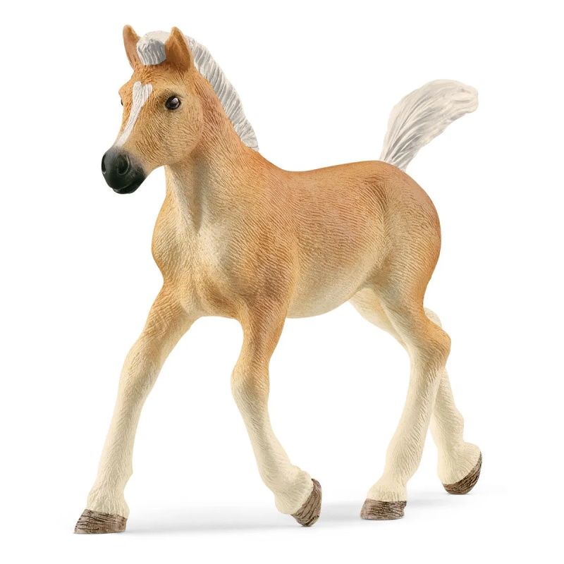 Figurine Poulain Haflinger - Schleich 