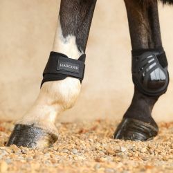 Protège-boulets cheval Maddi - Harcour