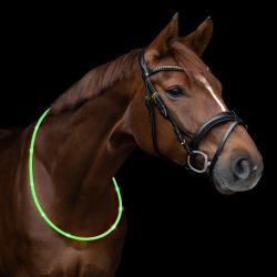 Collier d'encolure cheval led - Waldhausen