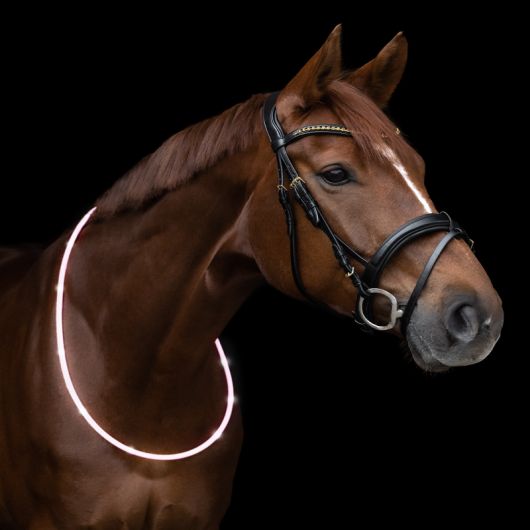 Collier Lumineux LED Pour Chevaux HKM - Étanche, Rechargeable USB, Modes Clignotant/Continuel