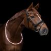 Collier d'encolure cheval led - Waldhausen