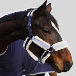 Licol nylon cheval doublé mouton Hizia - Harcour 