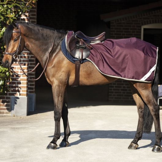 Couvre-reins cheval doublé Amigo Competition - Horseware Couvre-reins cheval doublé Amigo Competition - Horseware