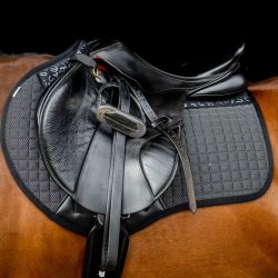 Amortisseur Adjust Pad - Antarès - ANTARES - Amortisseurs mousse et  caoutchouc - Equestra