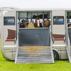 Revêtement Ramp caoutchouc avec tasseau pour pont de val ou camion cheval - IDS