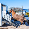 Revêtement Ramp caoutchouc avec tasseau pour pont de val ou camion cheval - IDS