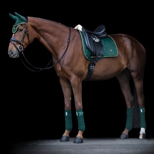 Tapis de selle cheval Modern Rose - Waldhausen