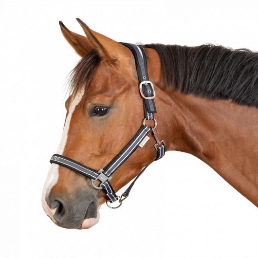 Licol nylon cheval Atheltic - Waldhausen 
