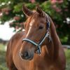 Licol nylon cheval Atheltic - Waldhausen 