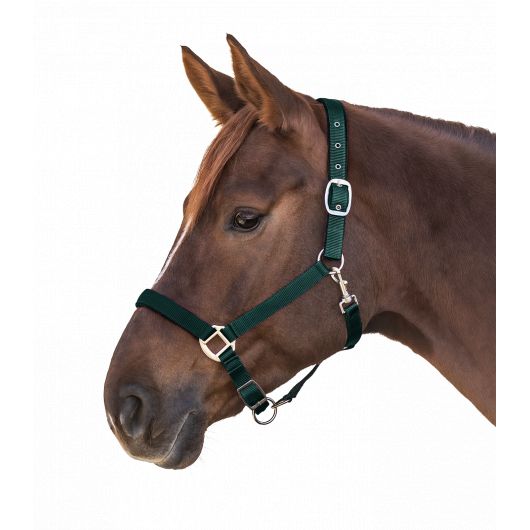 Licol nylon doublé Satin Waldhausen Licol cheval nylon doublé Satin - Waldhausen